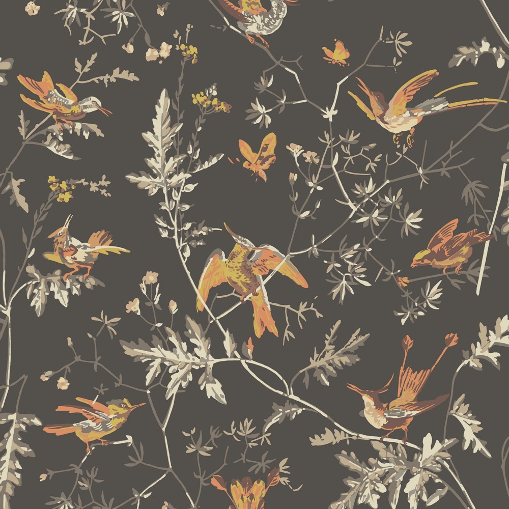 Hummingbirds Wallpaper 112 4017 by Cole & Son in Charcoal Ginger